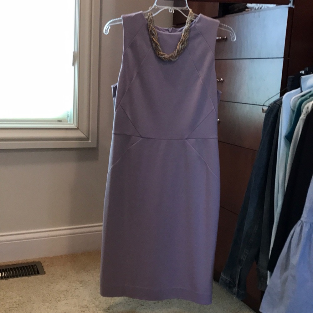 The Limited Lavender Dress